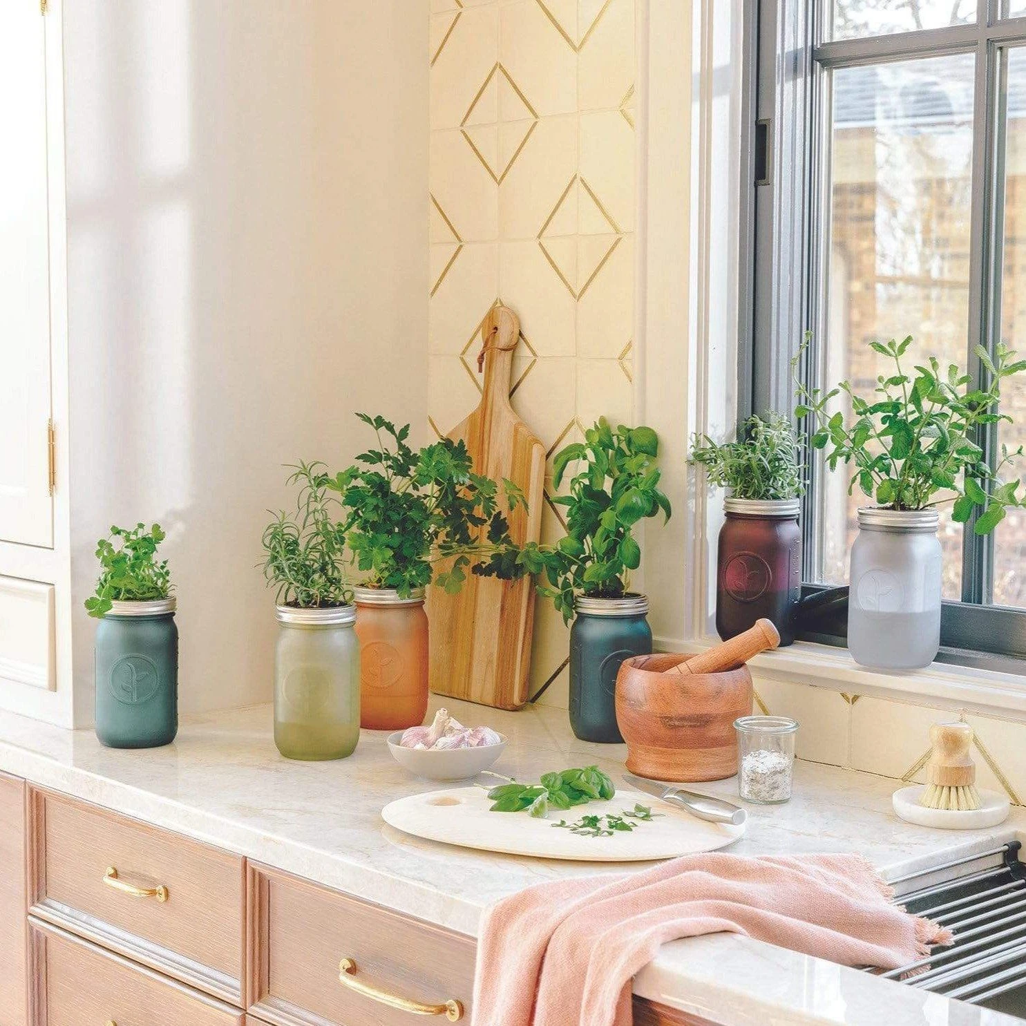 Modern Sprout Indoor Garden Jar - Cilantro - Image 3