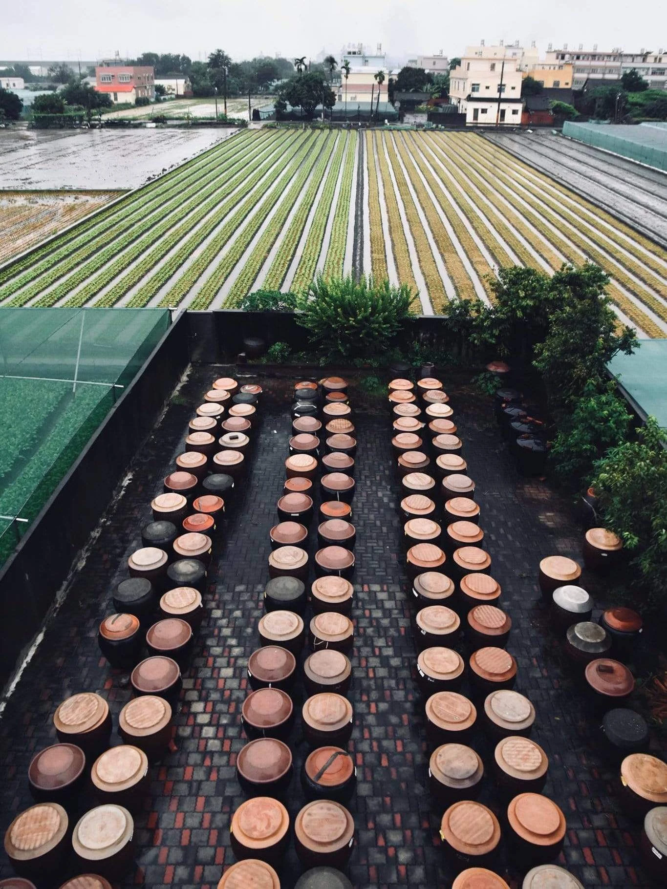 Yun Hai Taiwanese Pantry Pineapple Soy Sauce - Image 3